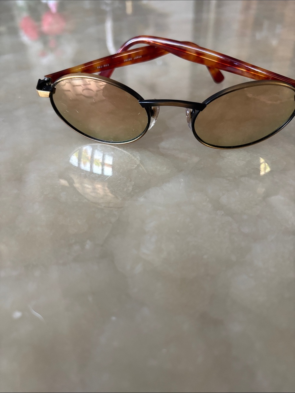 Revo Classic Round Men's Sunglasses in Brown Tortoise